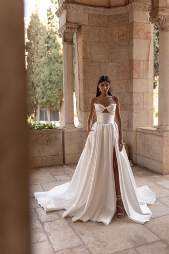 ג'ולי וינו Mimosa